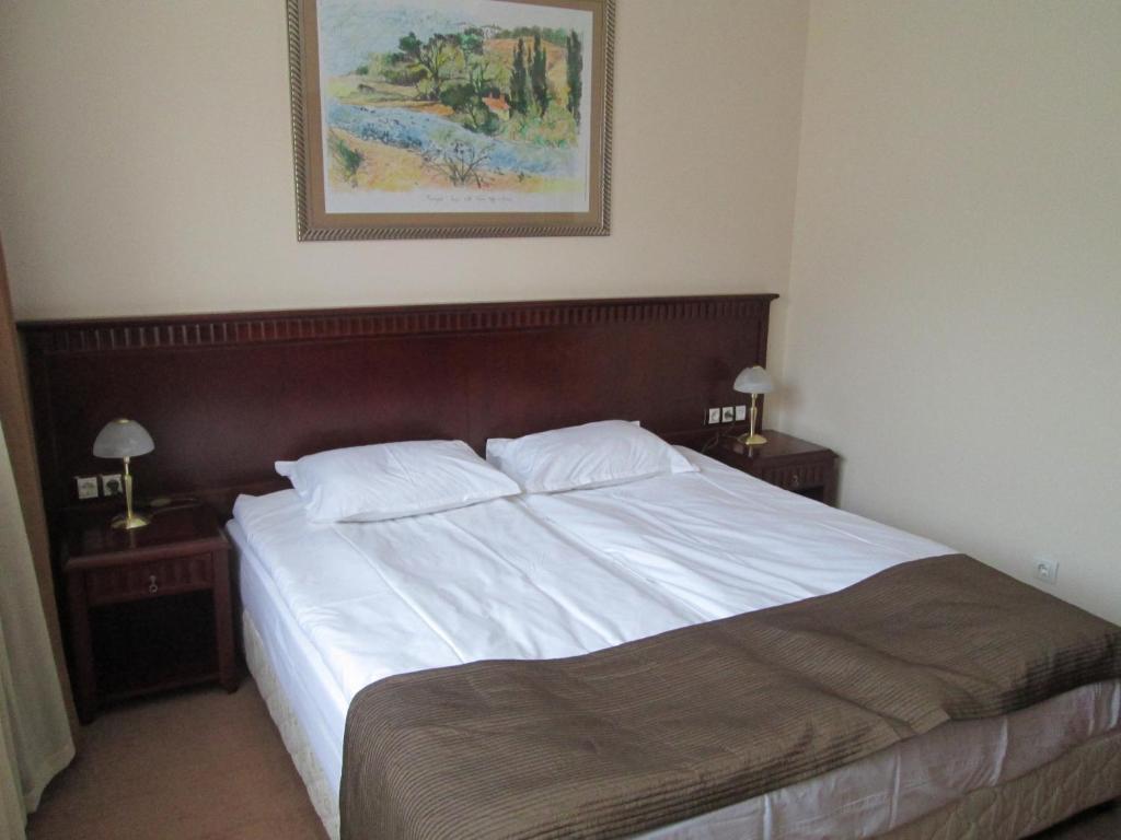 Downtown Alexander Services Apartments Bansko Pokoj fotografie