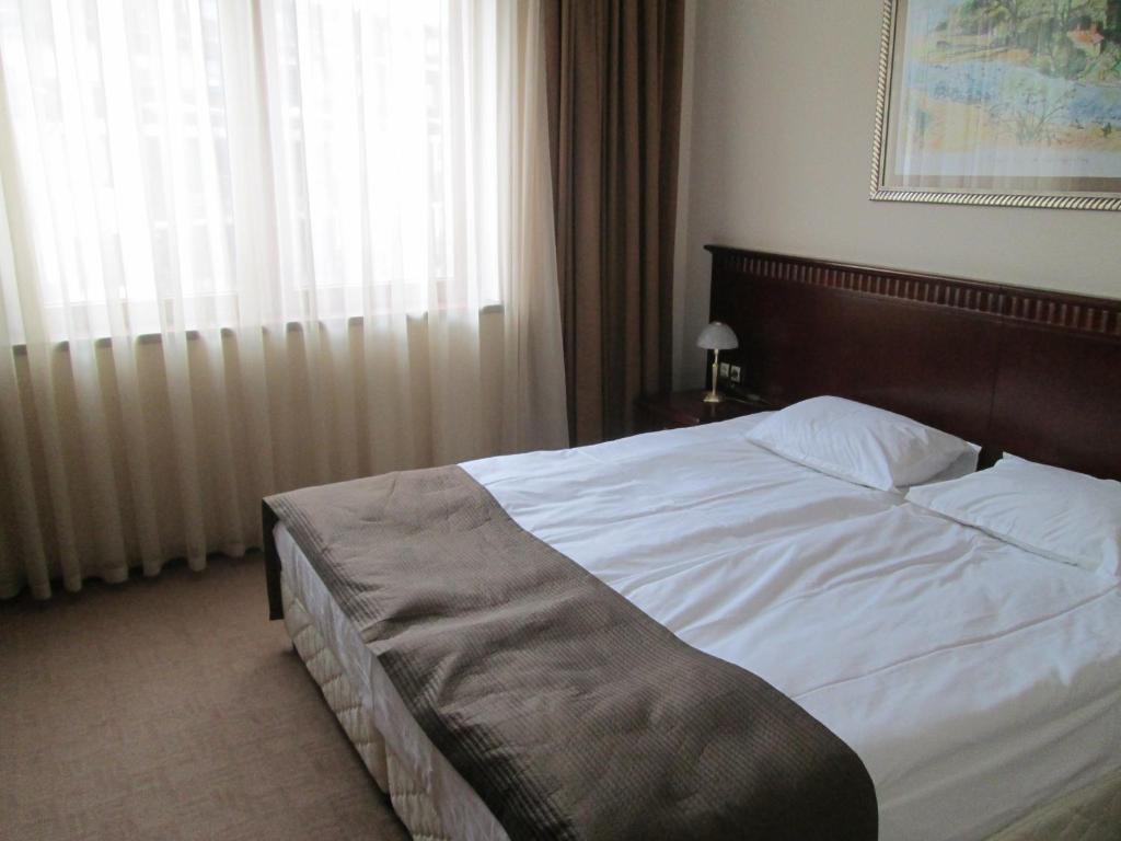 Downtown Alexander Services Apartments Bansko Pokoj fotografie