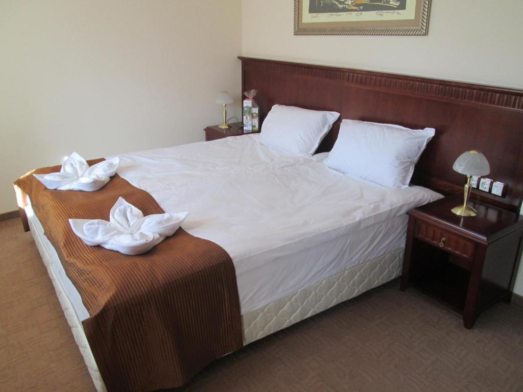 Downtown Alexander Services Apartments Bansko Pokoj fotografie