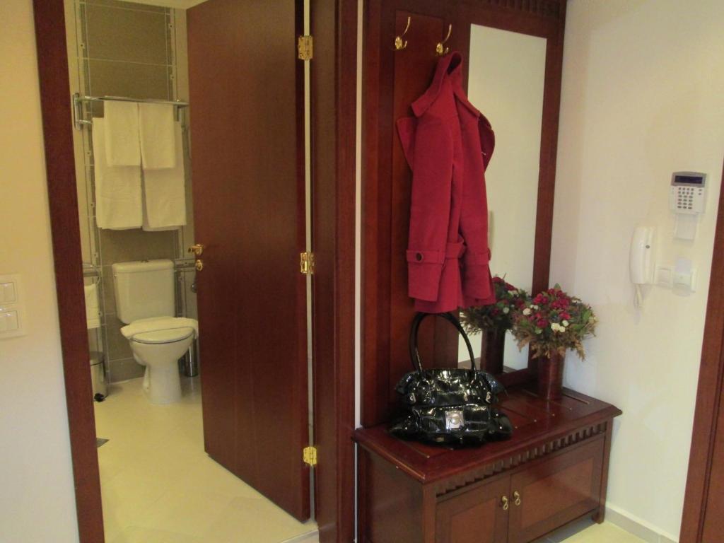 Downtown Alexander Services Apartments Bansko Pokoj fotografie
